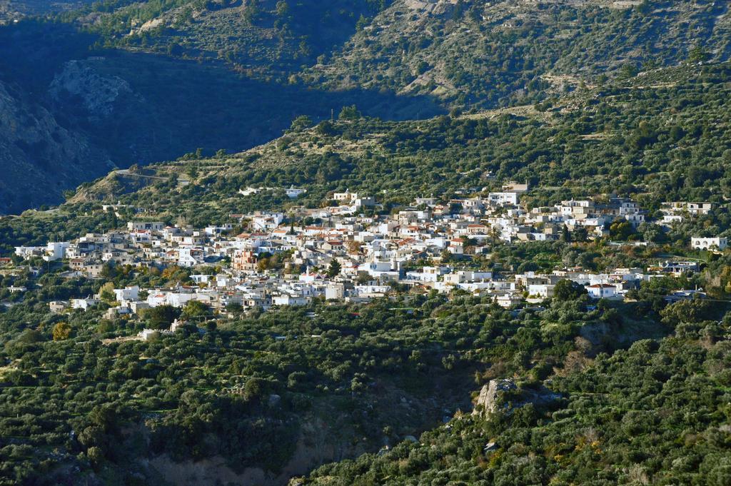 Apartament Mala