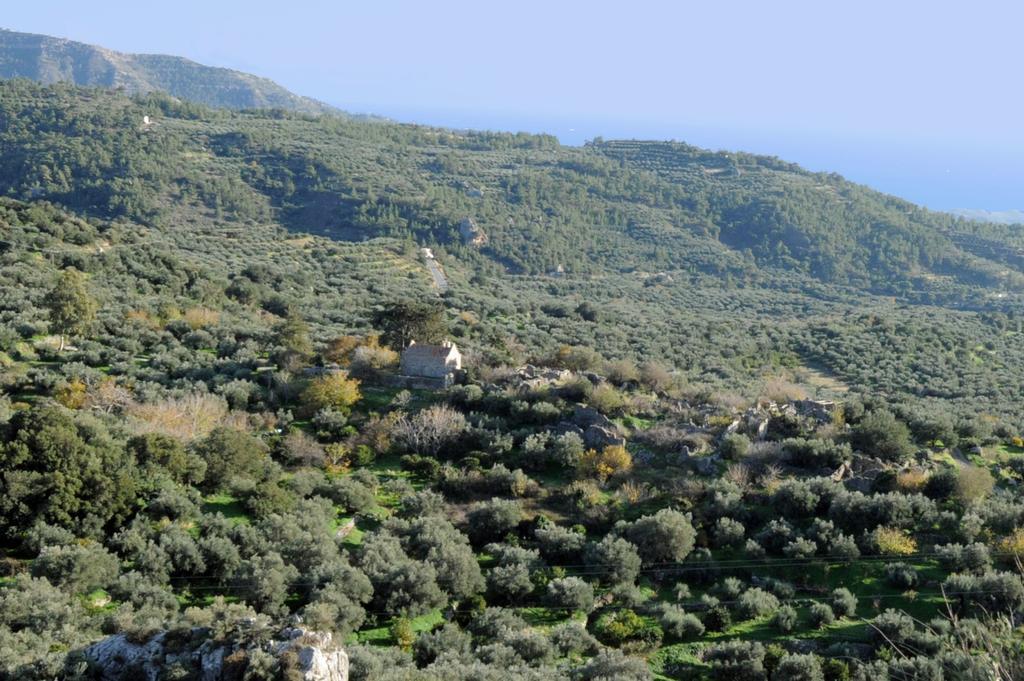 Apartament Mala *