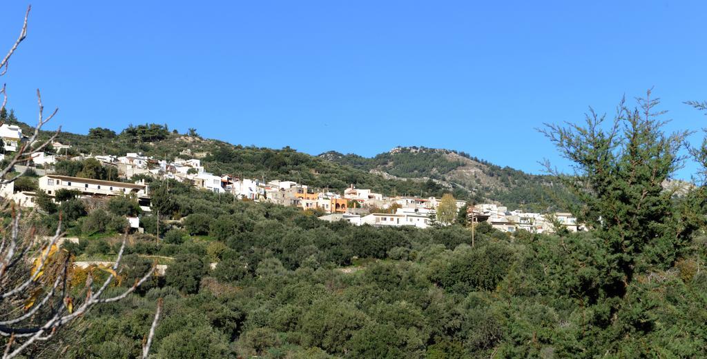 Apartament Mala
