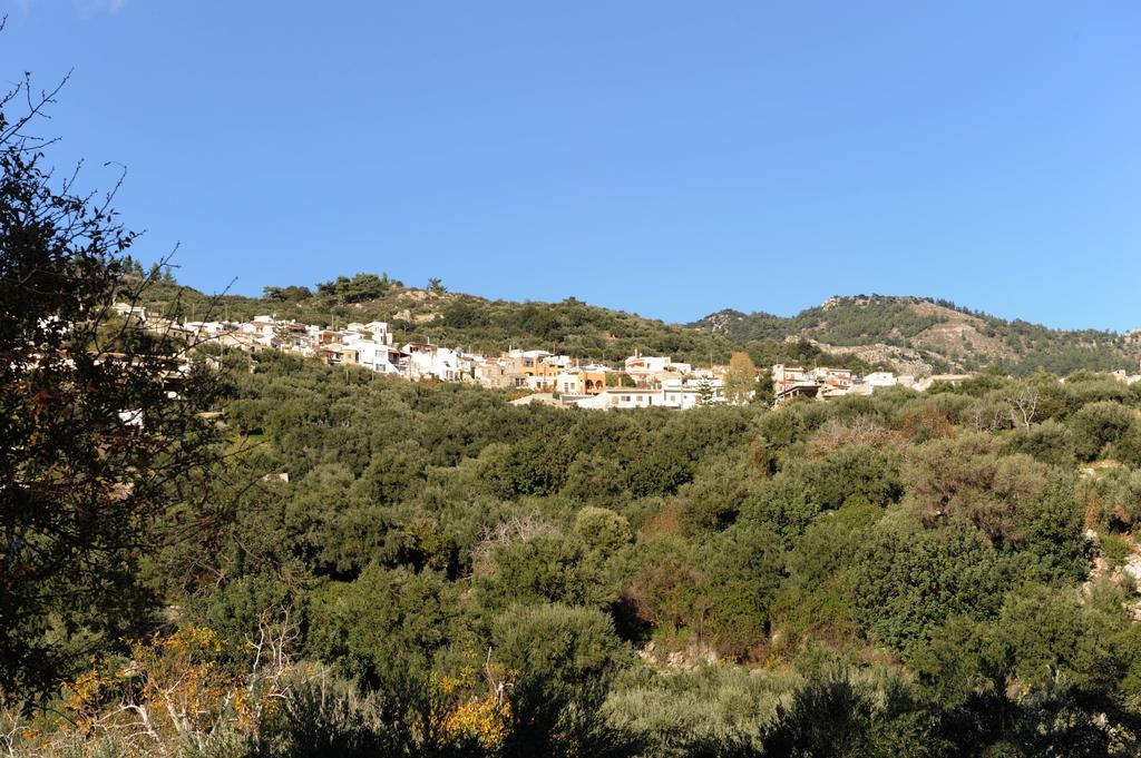 Mala Malles