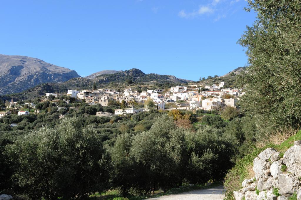 Apartament Mala *